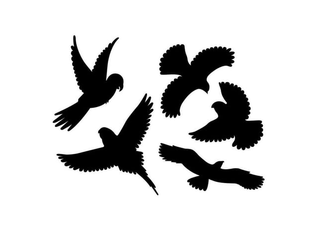 Gardigo - Vogelsilhouette schwarz 5-teilig