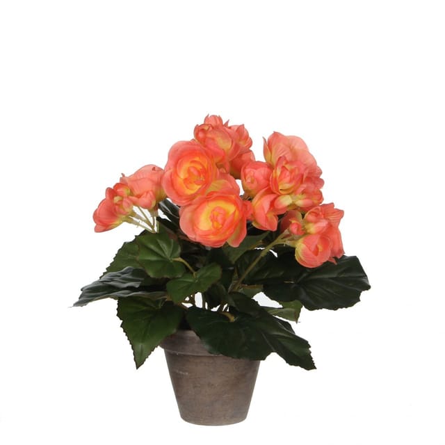 Mica Decorations - Mica Begonia im Topf lachs, 25 x 20 cm Kunstpflanzen