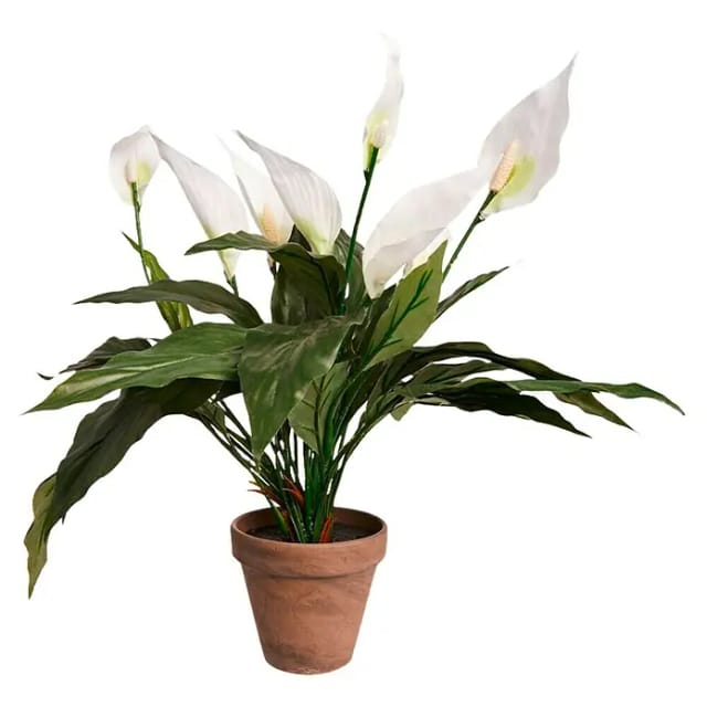 Mica Decorations - Mica Kunstpflanze Spathiphyllum weiß im Topf 11,5 x 50 x 40 cm Kunstpflanzen