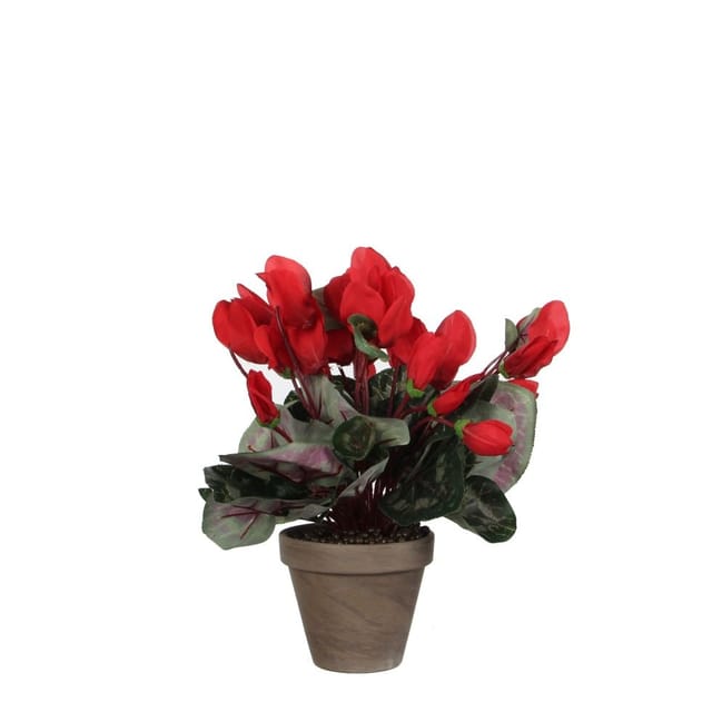 Mica Decorations - Mica Kunstpflanze Zyklamen rot im Topf 11,5 x 30 x 30 cm Kunstpflanzen