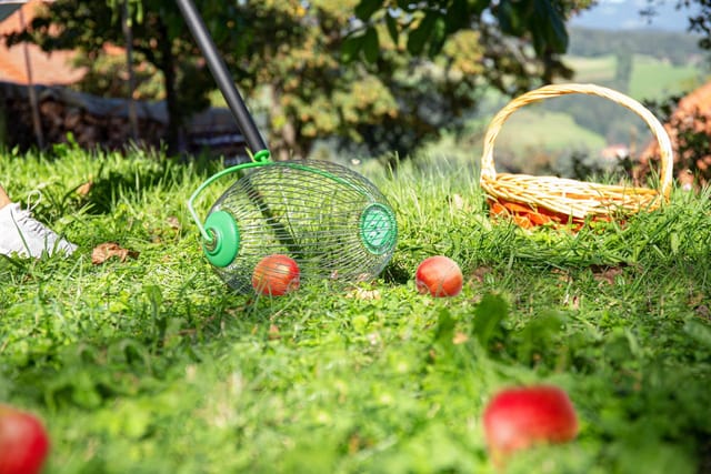 Freund Victoria - Nuss- und Obstsammler 30 cm Arbeitsbreite Obstsammler