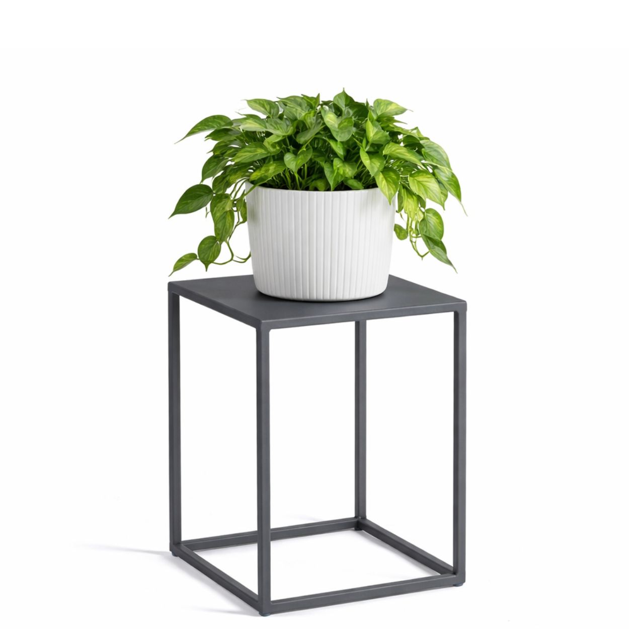 Stehender Blumenständer 40 Cm Graphit