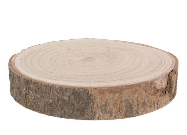 Echtholz Baumscheibe natur - ø 29-34 cm - Holzscheibe zum Dekorieren, Bemalen oder Brandmalen