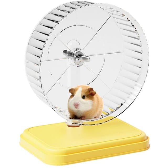 Meerschweinchen-Rennrad