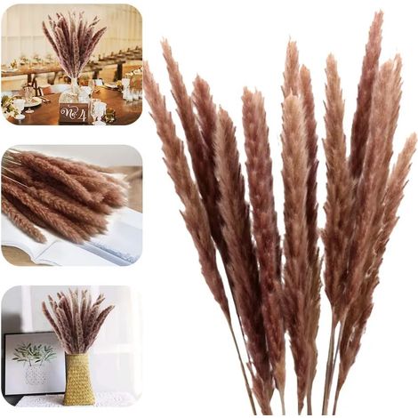 Natürlicher, Getrockneter Pampasgras- Und Schilfblütenstrauß. Für Wohnaccessoires, Wohnzimmer, Inneneinrichtung, Fotografie, Hotel, Hochzeit, 60 Cm