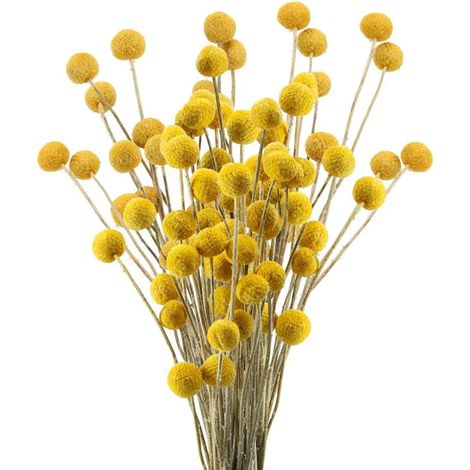 Set Mit 30 Künstlichen, Natürlich Getrockneten Blumen, Gelb, 50 Cm, Für Tischdekoration Bei Hochzeiten Und Fotos.