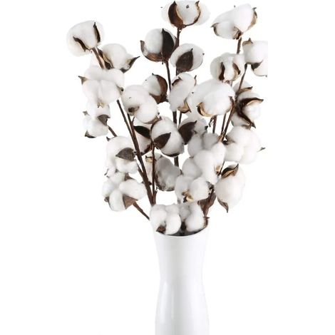 Natürliche, Getrocknete Baumwollblüten, 55 Cm, 10 Köpfe, Künstliche Blumenzweige, Dekorative Trockenblumen Für Hochzeiten, Partys, Vasen Und Dekorationen.
