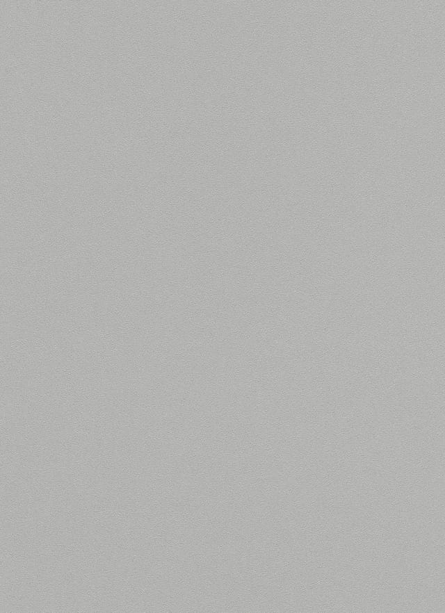 Erismann Vliestapete 02403-20, Uni grau, 10,05 x 0,53 m