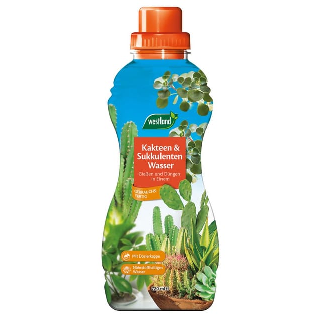Kakteen- & Sukkulenten Wasser 720 ml Dünger - Westland