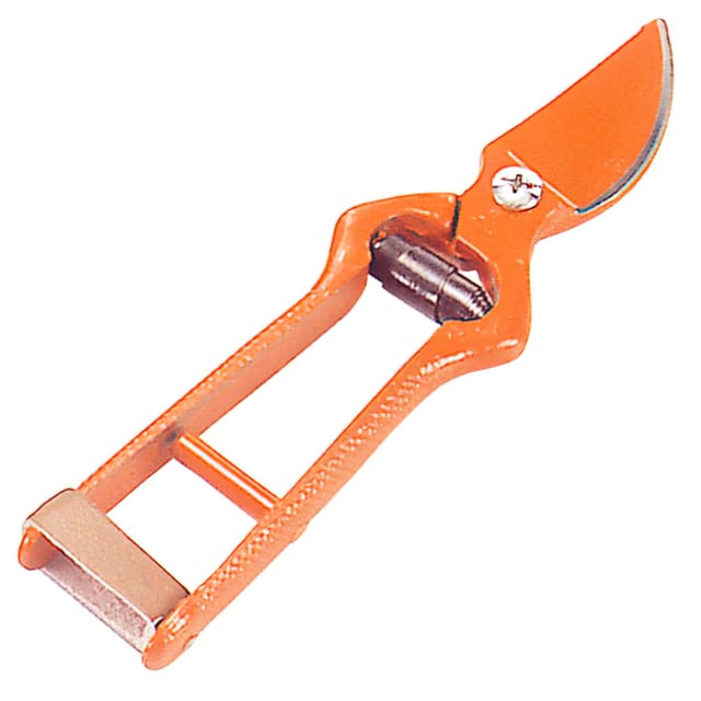Gebogene, geschmiedete Schere Wolfpack zur Traubenlese 18 cm.