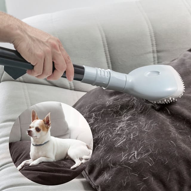 Bürste für Staubsauger Smoovah Innovagoods