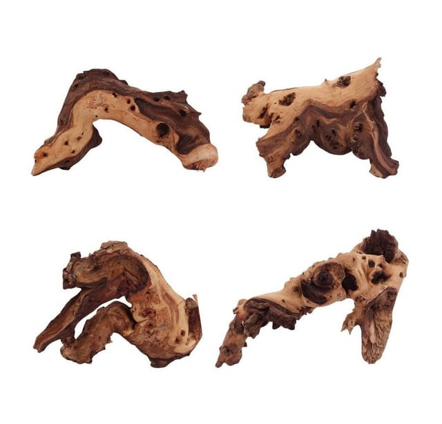 Mopani Wurzel M 15-25 cm