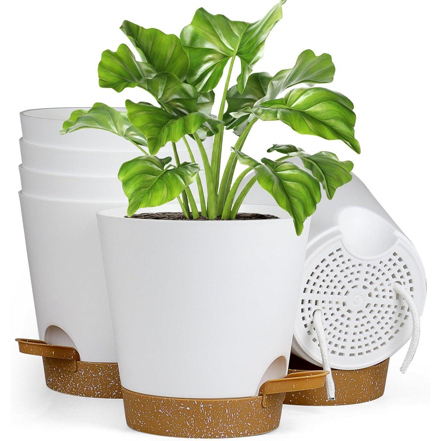 6er Set Selbstbewässernde Blumentöpfe 17.8cm Mit Untersetzer Für Innen & Außen