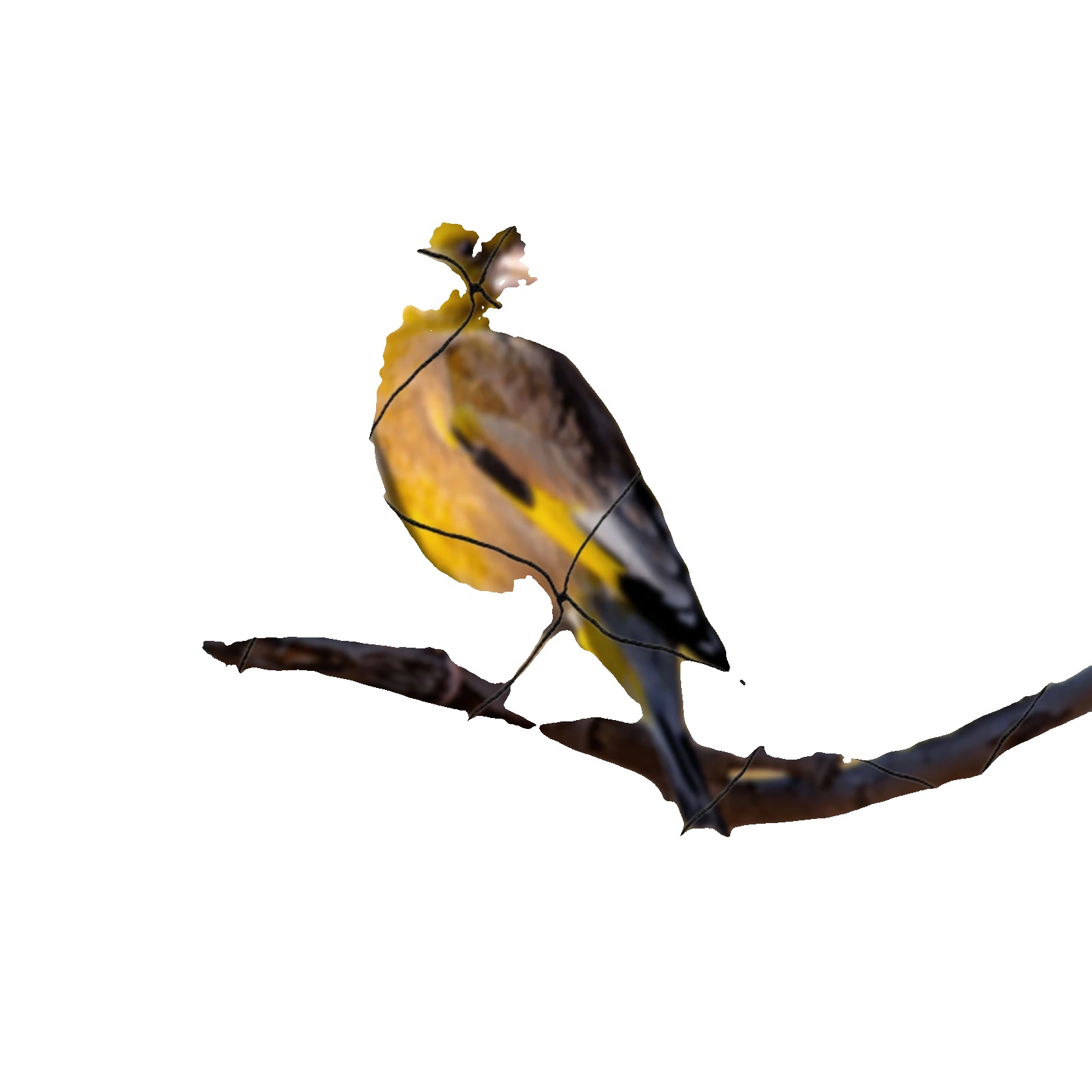 Vogelschutznetz, Robust, Wiederverwendbar, Schwarz