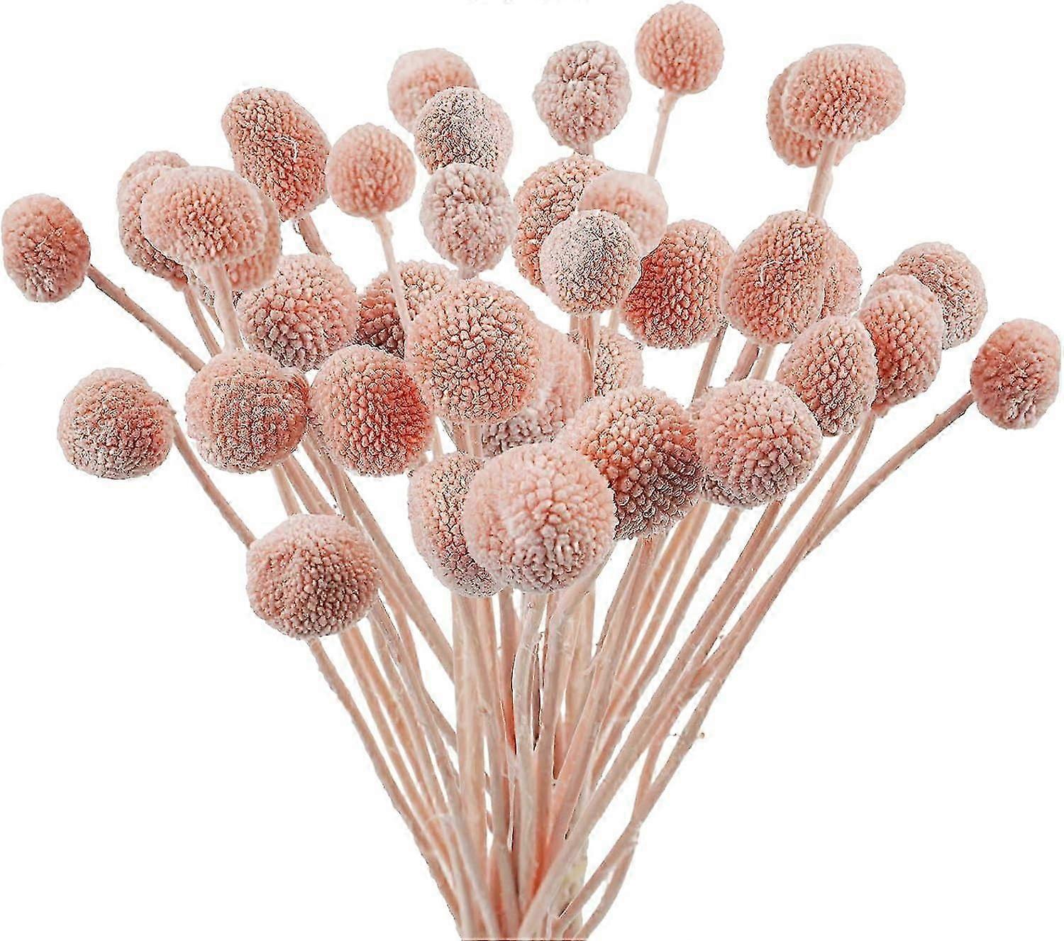 20 Künstliche Trockenblumen Von Craspedia, Künstliche Trockenblumenkugeln Von Billy Button Zur Dekoration Von Zuhause, Büro, Partys Und Hochzeiten (blau) (rosa)