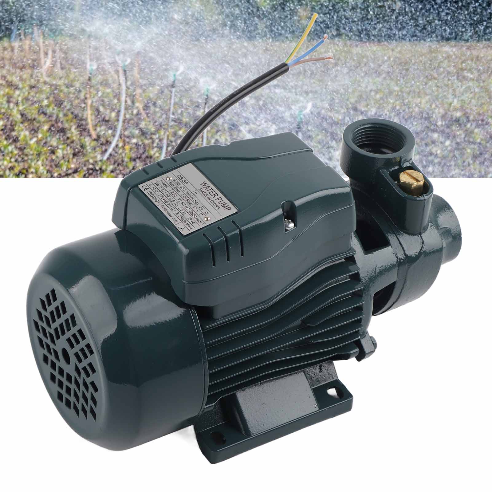 Qb60 370w Kompakte Klarwasserpumpe, Vortexpumpe Für Klarwasser, 220v Wechselstrom