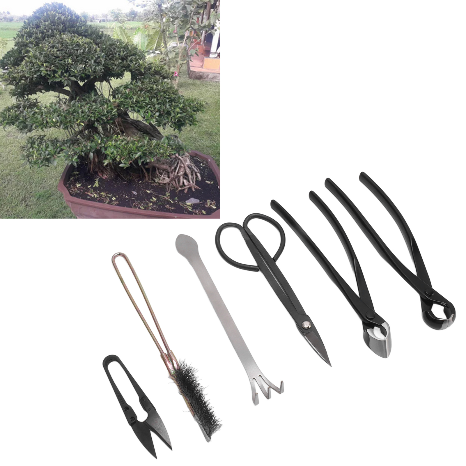 Bonsai-formwerkzeugset (6-teilig): Kugelklemme, Knospenschere Und Ast- Und Blattschneidewerkzeug.