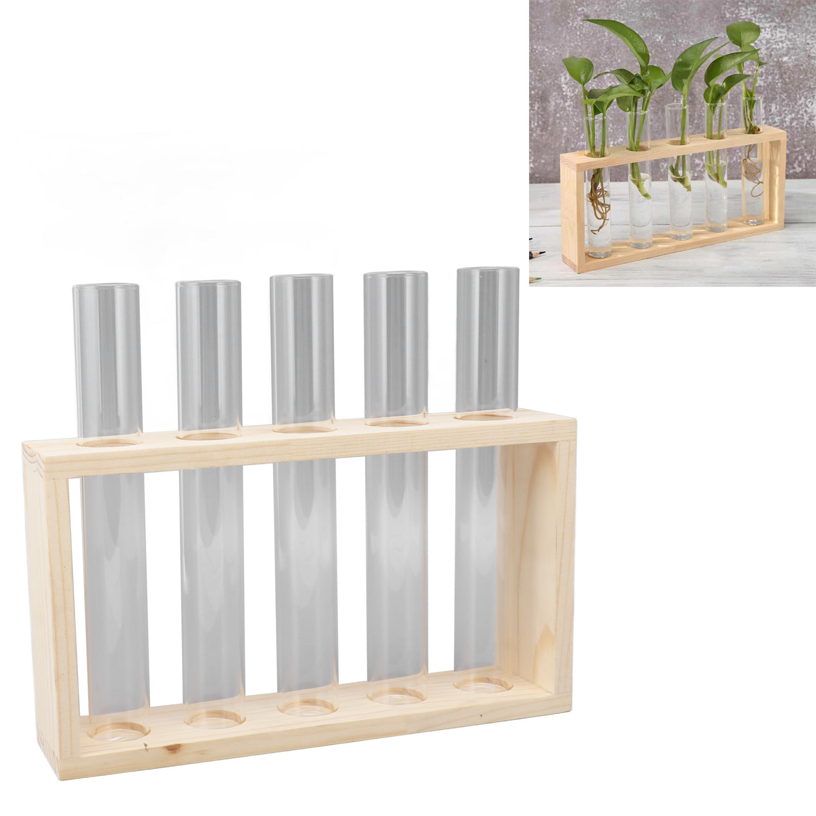Hydroponische Vase Aus Rohem Holz Und Klarem, Kohlegebranntem Glas, Ideal Für Hydroponische Zimmerpflanzen. Schlichter Holzständer Zur Präsentation. Topf Für Efeutute. Fünf Röhrchen.