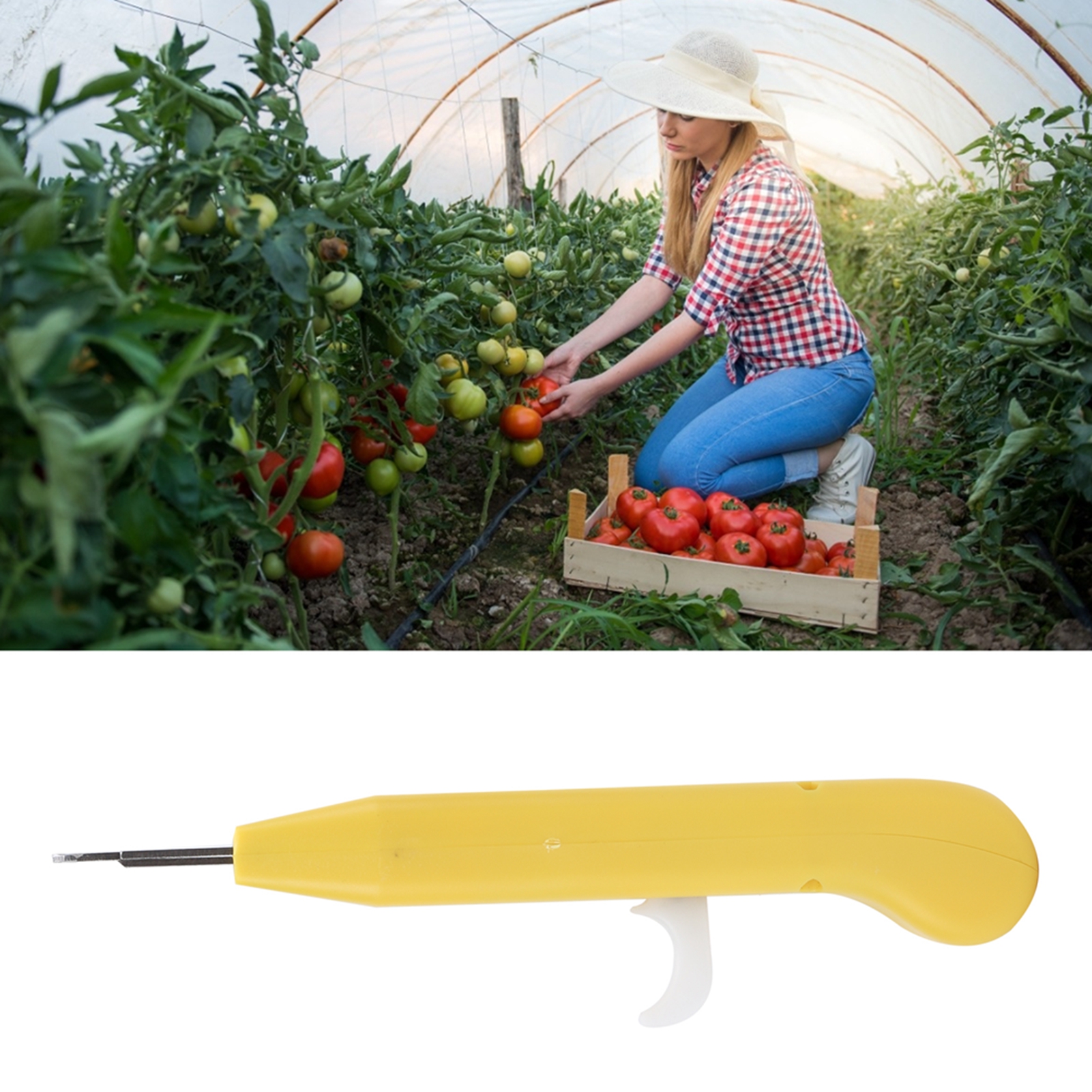 Erntescheren Für Chilischoten, Sichuanpfeffer Und Schwarzen Pfeffer Landwirtschaftliche Scheren Für Obsterntemaschinen Zeitsparende Landwirtschaftliche Scheren.