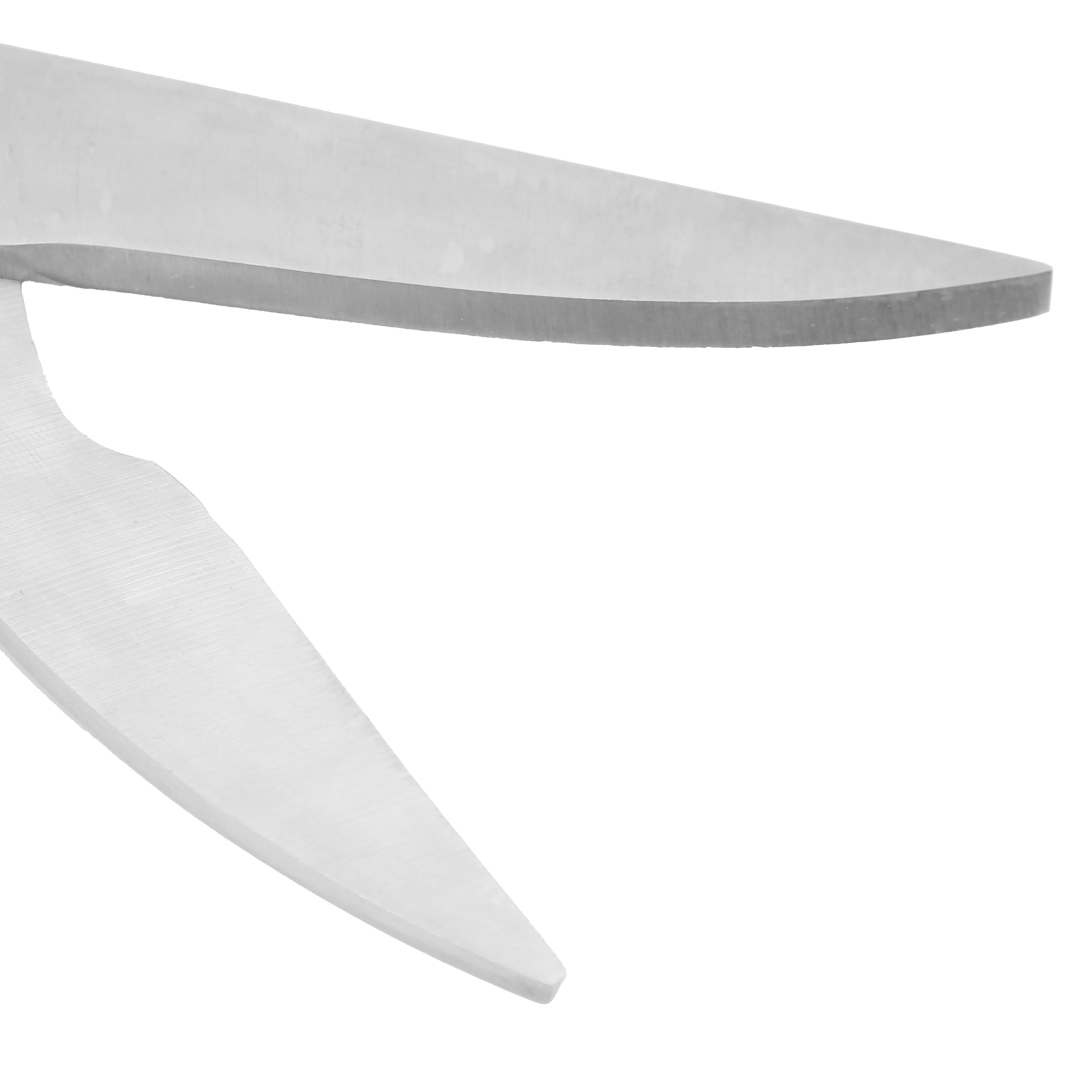 Schere Komplett Aus Edelstahl, Robuste Schere, Edelstahlschere, 100 Mm