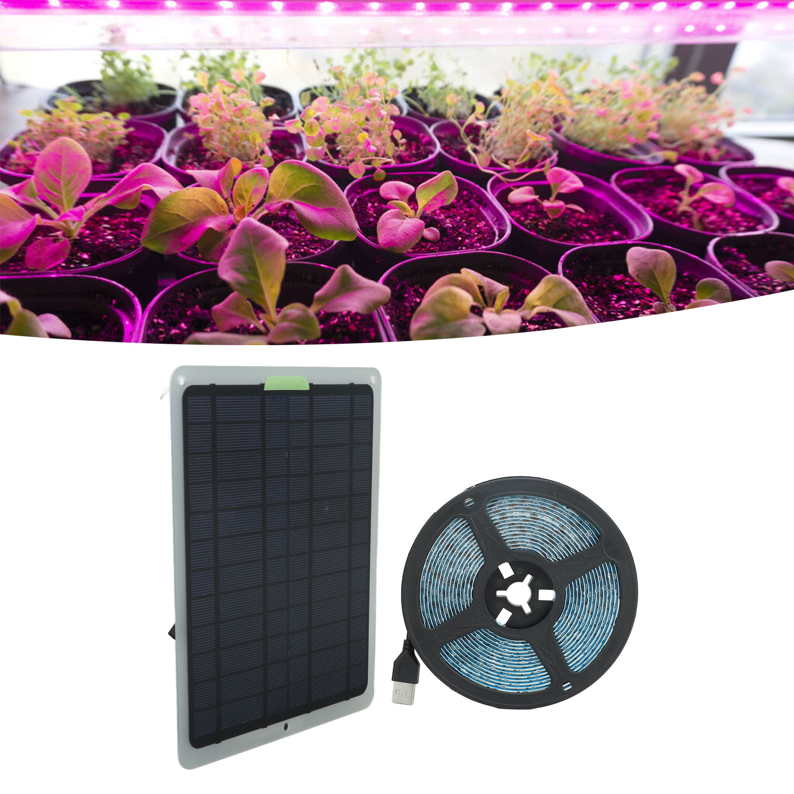 20-w-solarpanel, 5 Meter Lange Led-gartenbaulampe Mit Solarwachstumsspektrum Für Gemüsesetzlinge, Wasserpflanzen Und Als Zusätzliche Innenbeleuchtung Mit Batterieschutzbox.