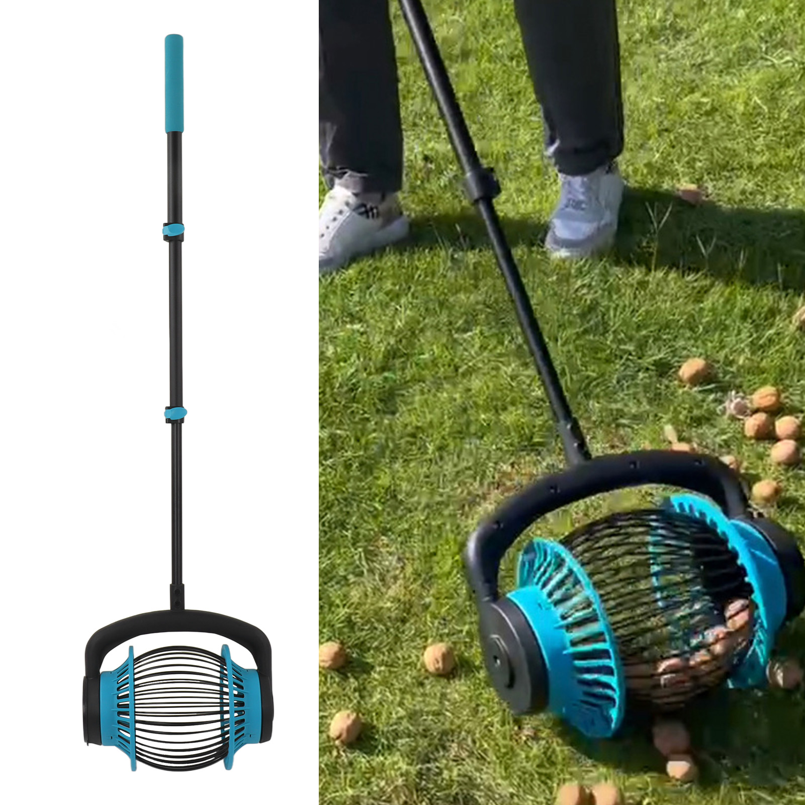 Nuss- Und Kastanienpflücker, Golfballfänger, Schnellpflücker, Obstgartenwerkzeug