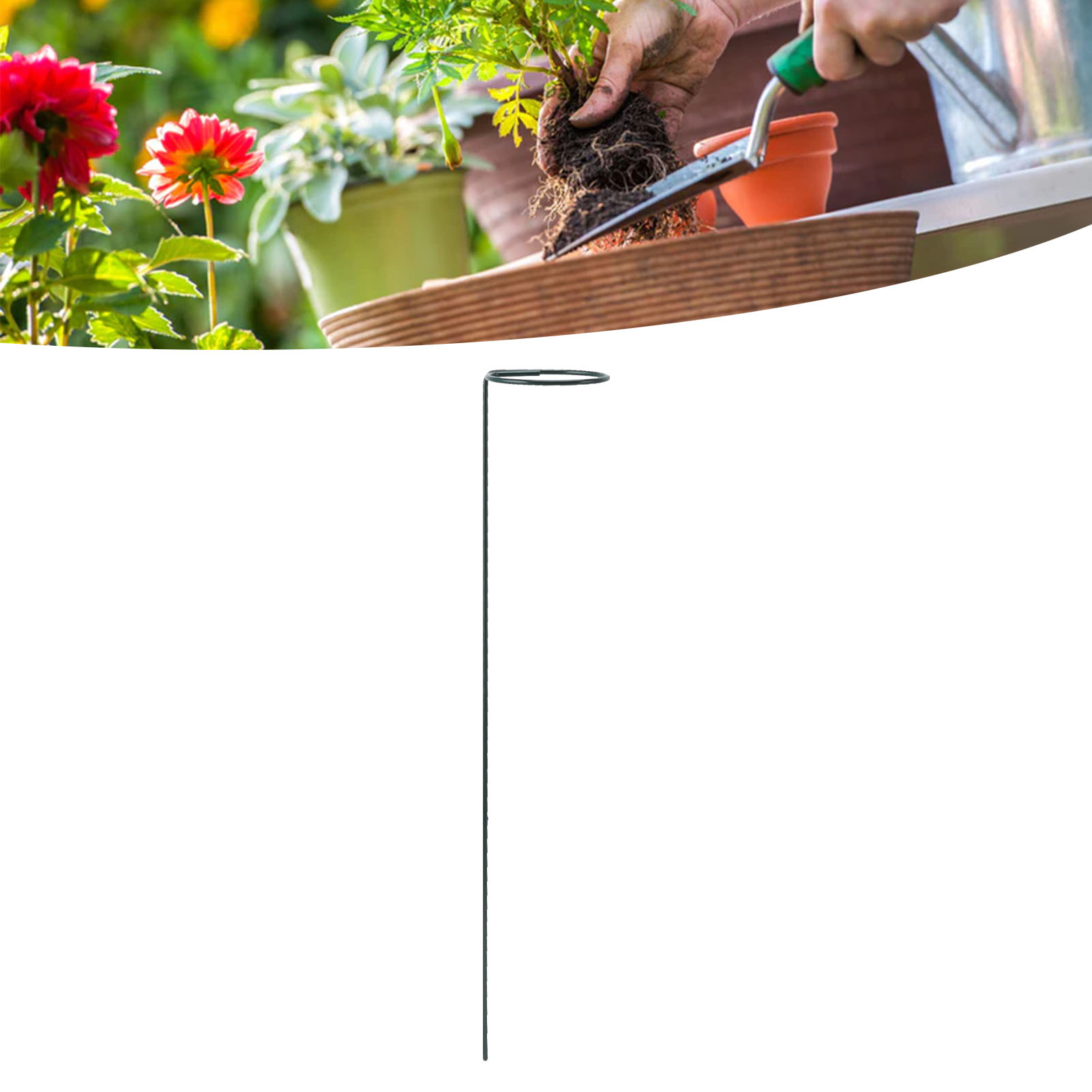 Set Mit 12 Pflanzenstützen Aus Eisen Für Den Garten