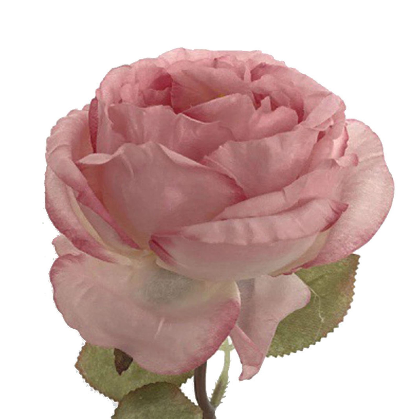 Künstliche Rosen, Princess Diana Rosen Mit Gebrannten Rändern, Große Französische Rosen Mit Gerüschten Rändern, Wohnzimmerdekoration, Blumenarrangement Für Den Esstisch, Künstliche Rosen Mit Gebrannte