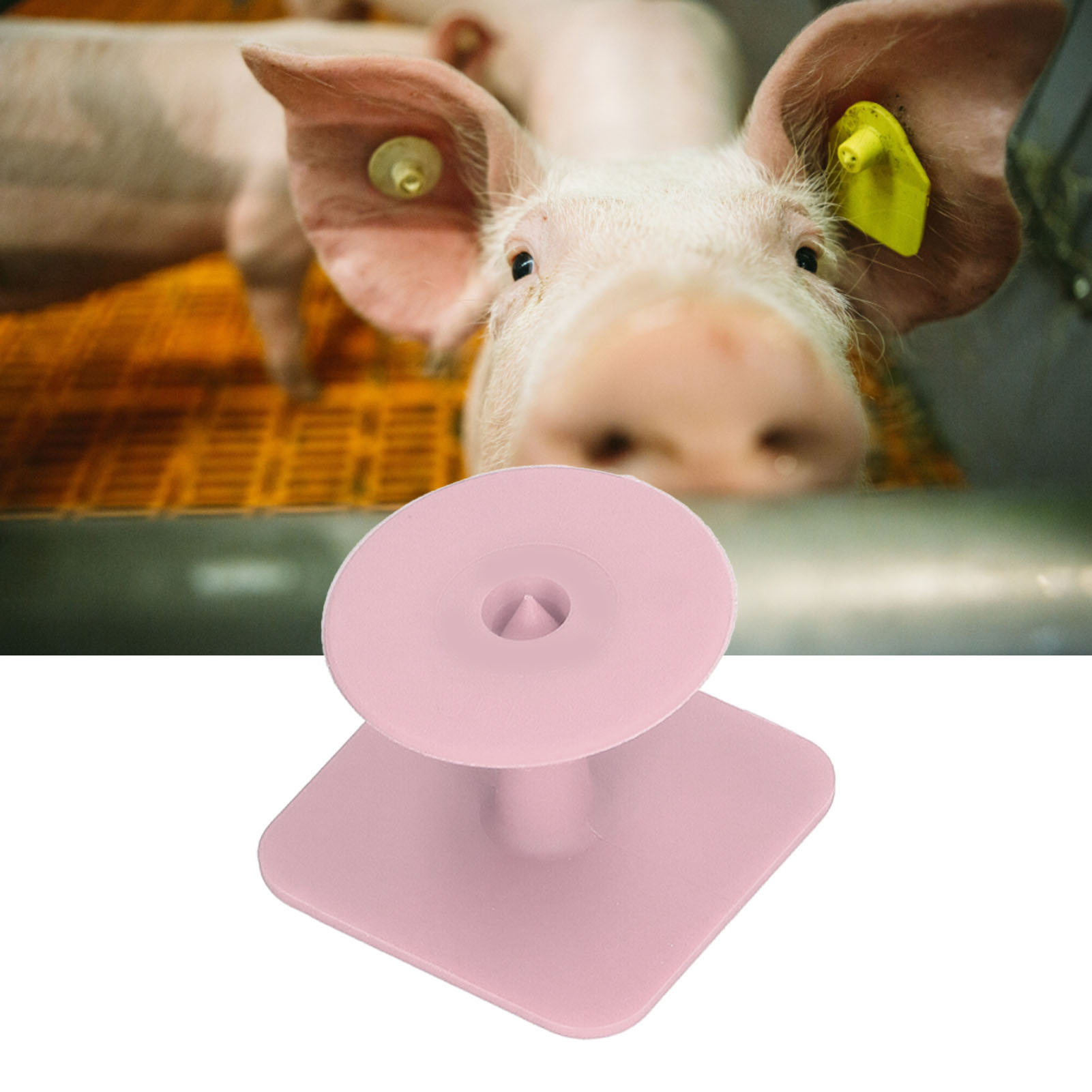 100 Stück/verkäufer Von Einfachen Schweineohrmarken, Quadratischen Schweineohrmarken, Tierärztlichen Schweineohrmarken, Rosa