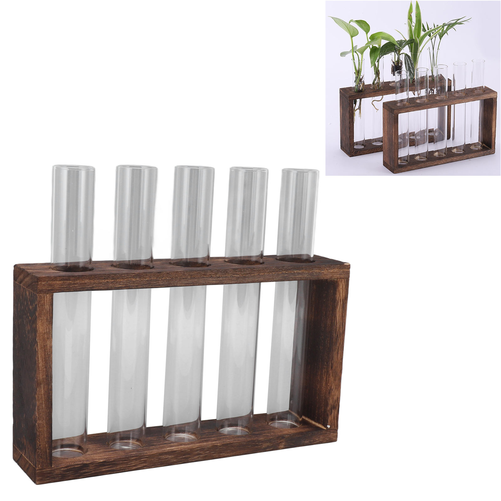 Hydroponische Vase Aus Echtholz Und Klarglas, Mit Holzkohle Angekohlt, Grüne Pflanzen In Wasser, Einfacher Holzständer, Tischdekoration, Efeutute, Fünf Angekohlte Röhrchen