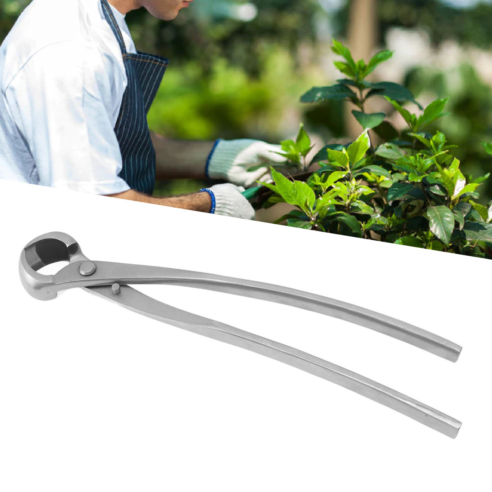 28,5 Cm Große, Kugelförmige Gartenschere Aus Chromlegierung, Gartenwerkzeug, Astschere, Bonsai-formwerkzeug, Silber