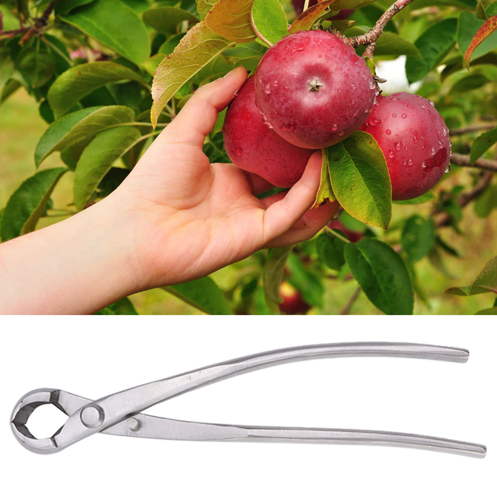 20 Cm Lange, Kugelförmige Gartenschere Aus Chromlegierung Zum Beschneiden Von Ästen Und Formen Von Bonsai, Silberfarben