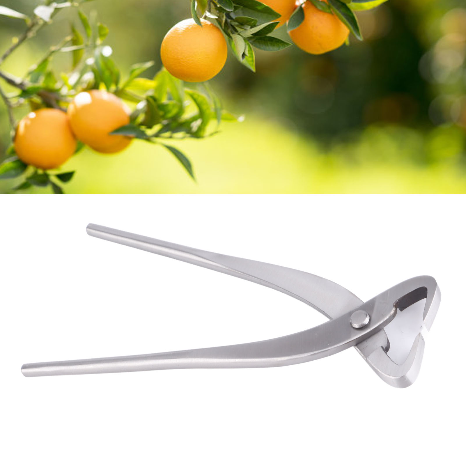20 Cm Lange Gartenschere Aus Chromlegierung, Gartenschere, Blumenschere, Astspalter, Bonsai-schnittwerkzeug, Silber