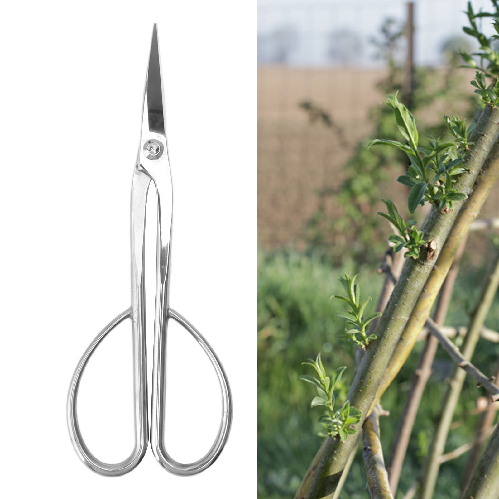 220 Mm Lange Knospenschere Aus Edelstahl, Bonsai-schnitt- Und Formwerkzeug, Silber
