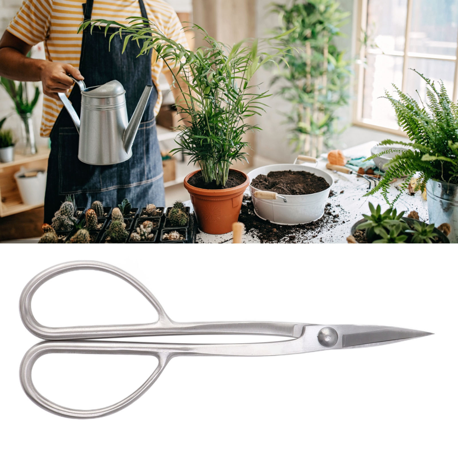 210 Mm Lange Knospenschere Aus Edelstahl, Bonsai-schnitt- Und Formwerkzeug, Silber