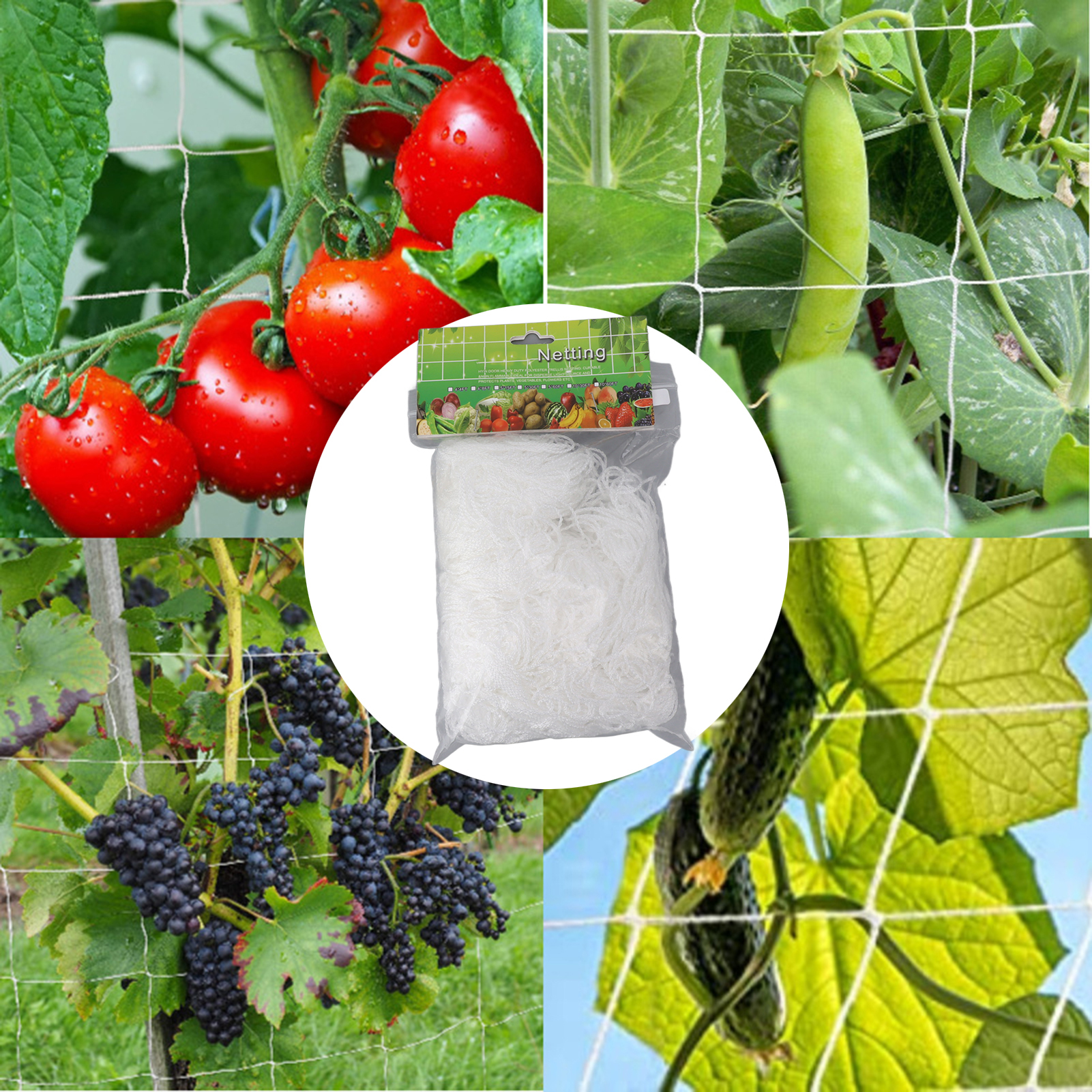 X 30 Fuß Ranknetz, Weißes Polyester-quadratmaschengewebe, Gartennetz, Ranknetz Für Kletterpflanzen.