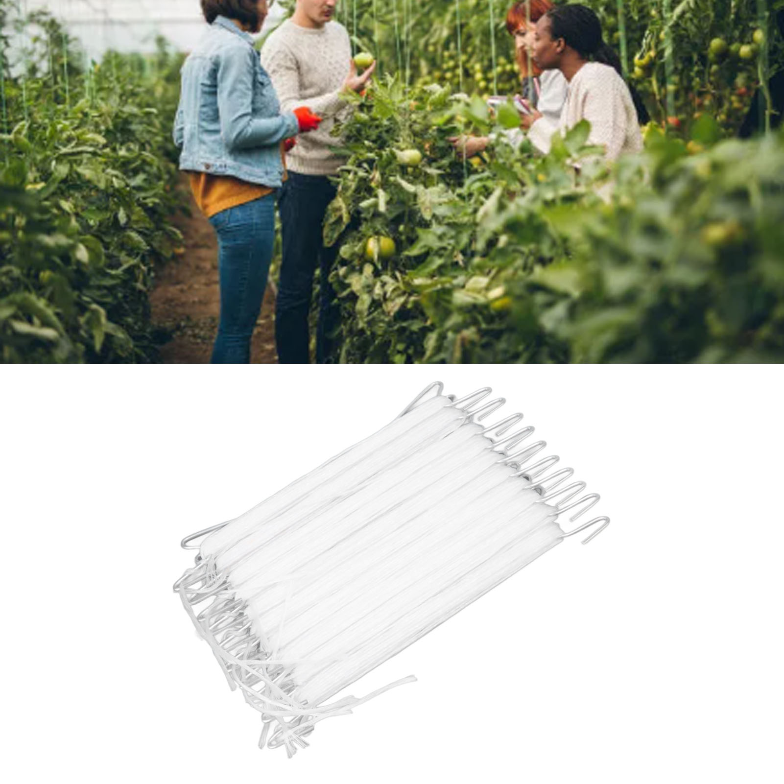 10 Tomatenstielhaken/rollhaken Für Den Anbau Von Tomaten Und Kirschtomaten In Gewächshäusern/rankgitterhaken