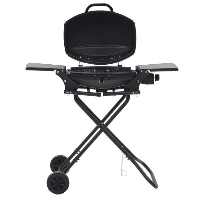 Perle Rare - Gasgrill Tragbar mit Kochzone Schwarz vidaXL