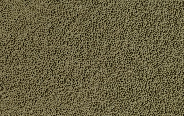 Tetra Teichfutter Koi Beauty Small Small, 10 l Sticks