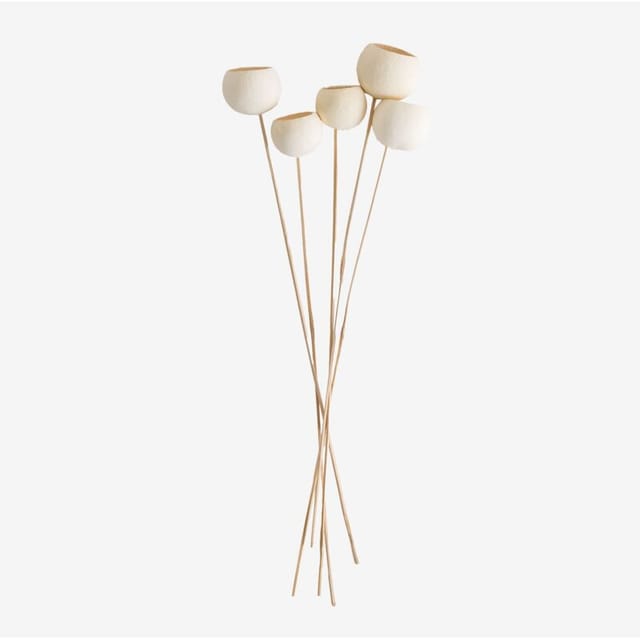 SKLUM 5er Pack dekorative getrocknete Äste von Aegle Weiss