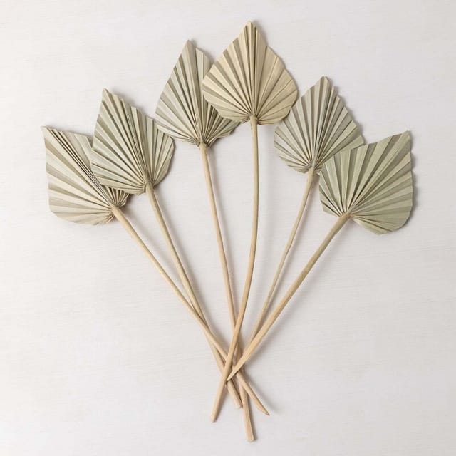 6er Set mit dekorativen getrockneten Zweigenn Beliefe Bamboo Grün - Sklum