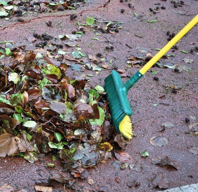 Gardi rex Krallenbesen mit Teleskopstiel, ausziehbar, mit Geschwungenen Borsten, 45cm breit