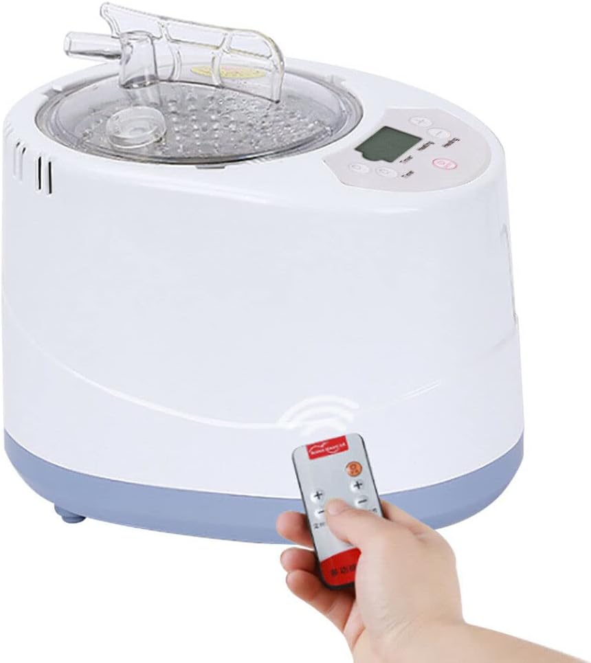 Dampferzeuger, Mini-Dampfsauna mit Zeitschaltuhr, für zu Hause, Wärmekabine, 3 l, 1 kW