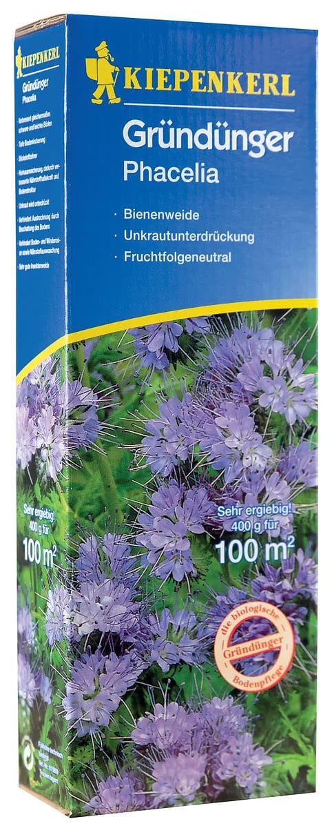 Kiepenkerl - Gründünger Phacelia Phacelia tanacetifolia, Inhalt 400 g Gemüsesamen