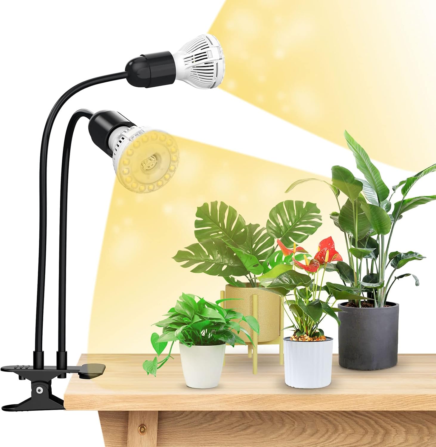 Led-pflanzenlampe Für Zimmerpflanzen, Vollspektrum-pflanzenlampe Mit 2 Abnehmbaren E27-led-pflanzenlampen Für Die Keimung