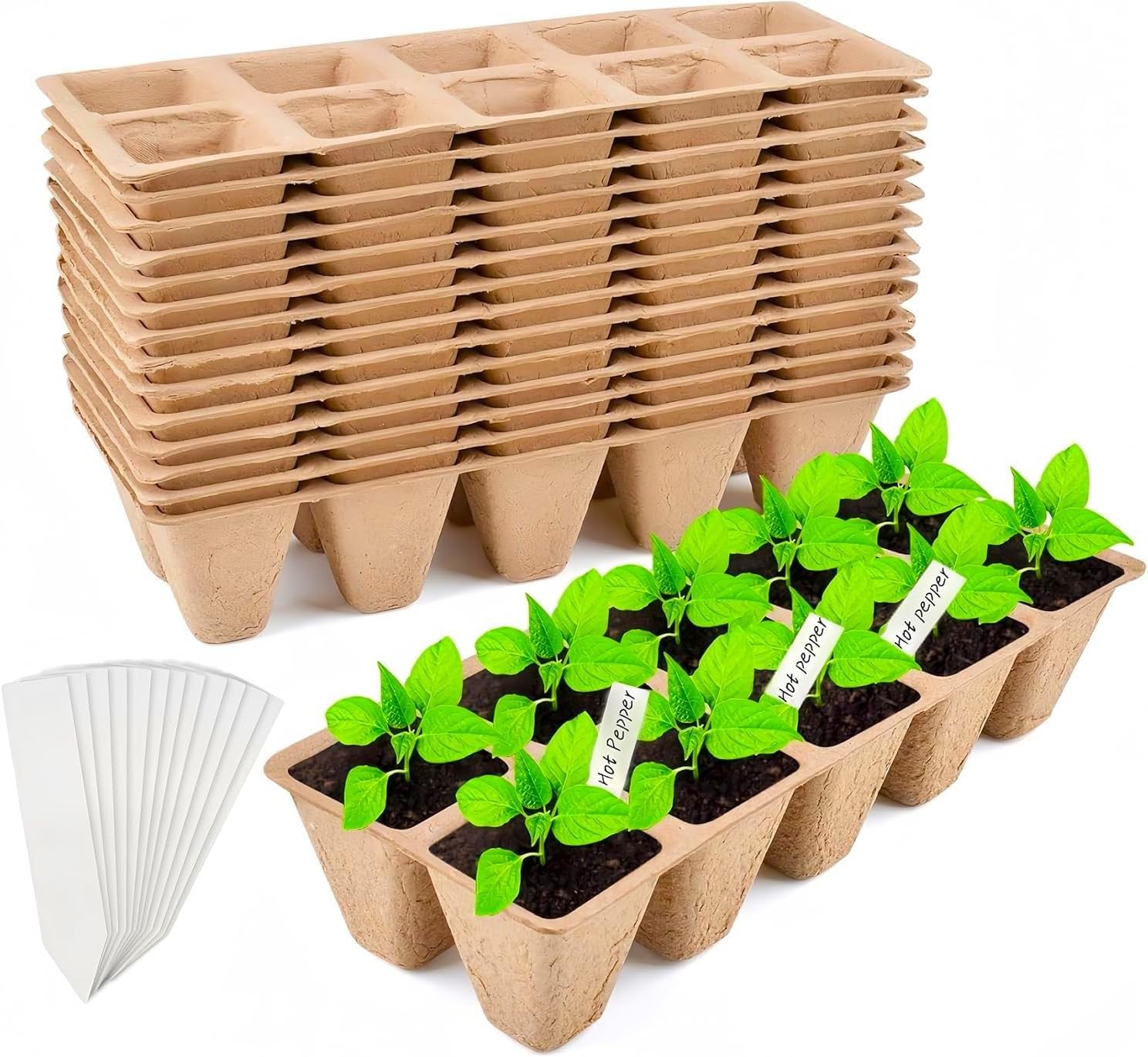 (24 Stück) 10 Zellen 4cm Anzuchttopf Für Sämlinge, Biologisch Abbaubare Faser-pflanzschale Mit 20 Etiketten Für Pflanzen, Obst Und Gemüse
