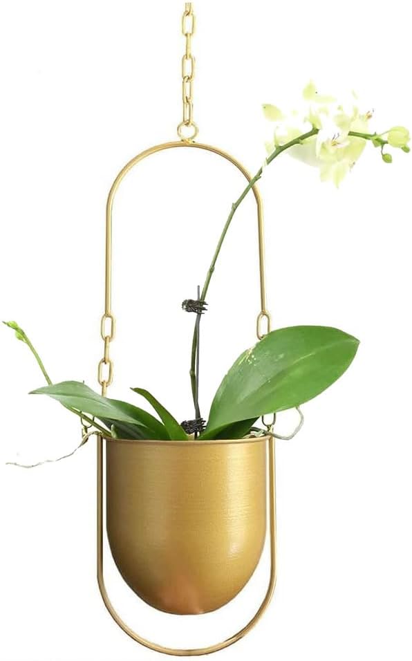 Dekorativer Hängeampel Aus Metall Im Boho-stil, Hängekorb Für Zimmerpflanzen Wie Sukkulenten, Luftpflanzen Und Kakteen (gold)