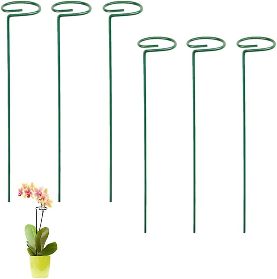 Set Mit 6 X 40 Cm Langen Pflanzenstützpfosten, Einzelstammstützpfählen, 6,5 Cm Durchmesser, Stützring, Gartenpfahl, Stütze