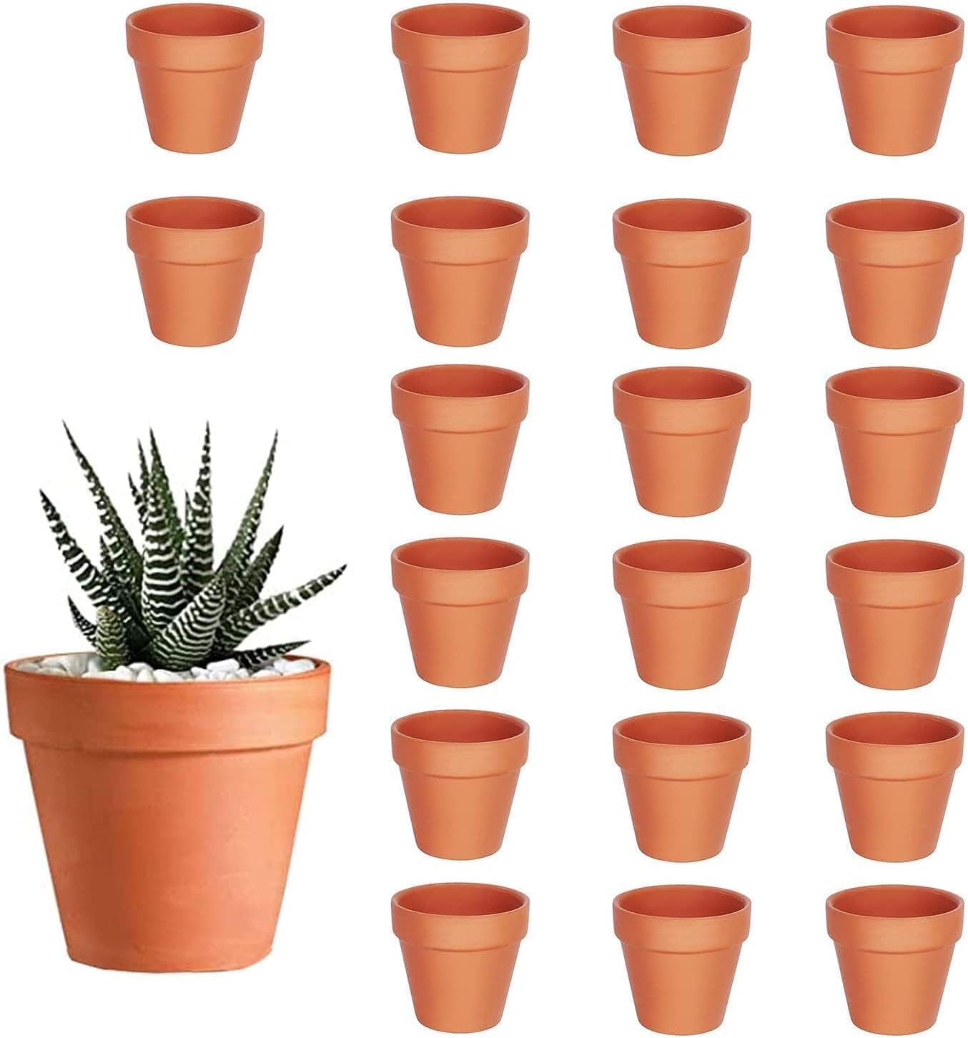 20 Kleine Terrakottatöpfe (3,5 Cm Durchmesser), Mit Drainage Für Sukkulenten, Kakteen, Zimmer- Und Gartenpflanzen