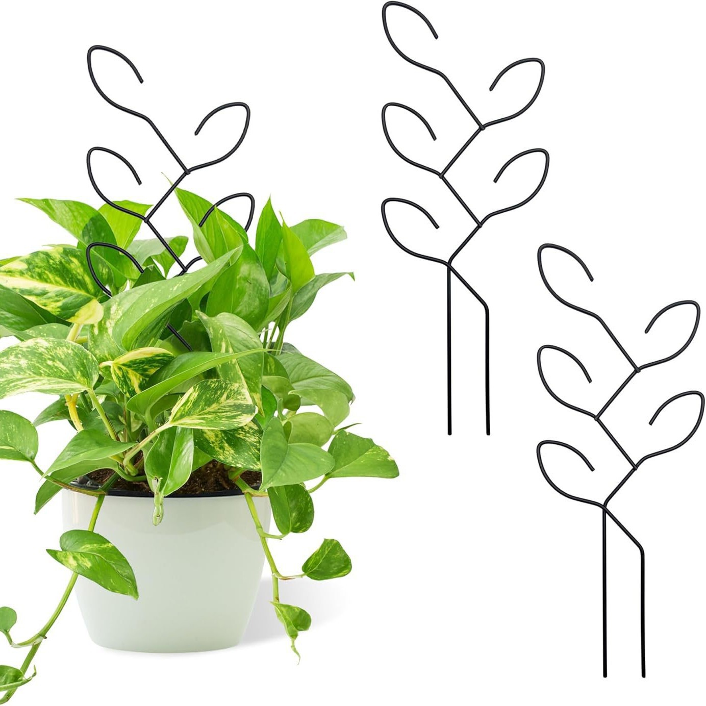 (3 Stück) Mini-pflanzenrankgitter – Stabile Kletterstruktur, Gartenpfahl Gemüsestütze, Efeustütze